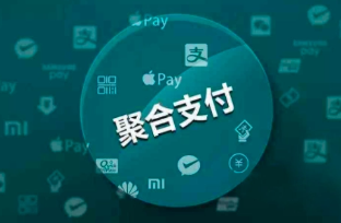 聚合支付平台排名前十（十个比较靠谱的代还app）