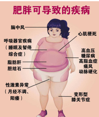 中年人千万不要肥胖，一定要控制住自己的体重