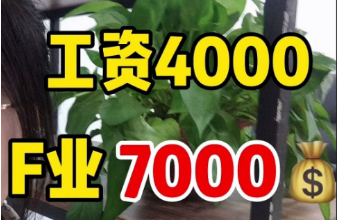 做网站瞬间不香了,自媒体收入过于诱人! 做网站瞬间不香了,自媒体收入过于诱人!